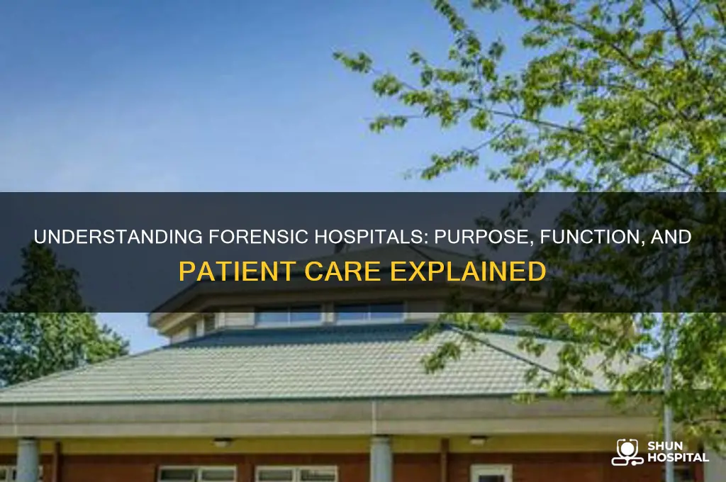 what is a forensic hospital