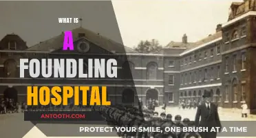 Exploring Foundling Hospitals: Origins, Purpose, and Historical Impact