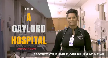 Understanding Gaylord Hospitals: Compassionate Care for Complex Needs