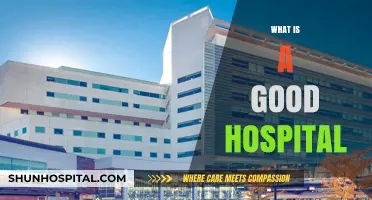 Exploring Excellence: What Makes a Hospital Truly Great?