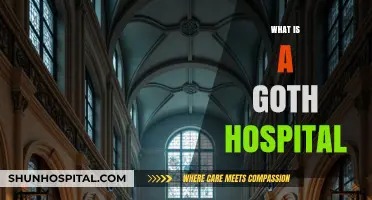 Exploring the Dark Aesthetics of Goth Hospitals: A Unique Perspective