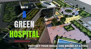 Sustainable Healing: The Rise of Eco-Friendly Hospitals
