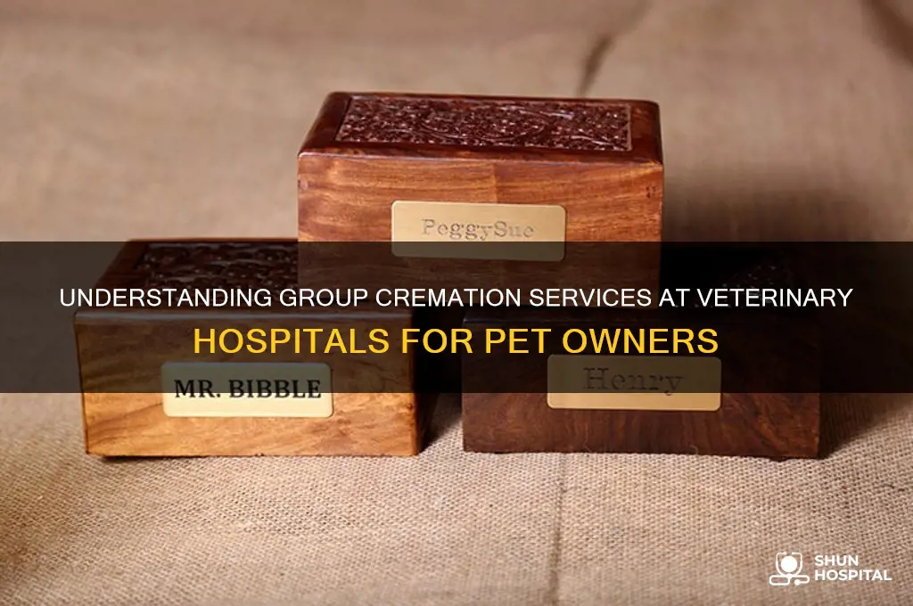 what is a group cremation at a veterniary hospital