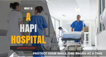 Understanding HAPI Hospitals: A Comprehensive Guide to Healthcare Excellence