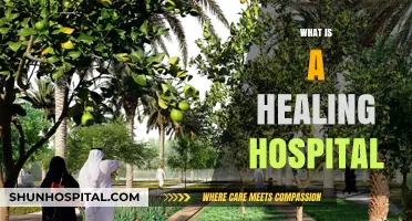Exploring the Concept of Healing Hospitals: A Comprehensive Guide