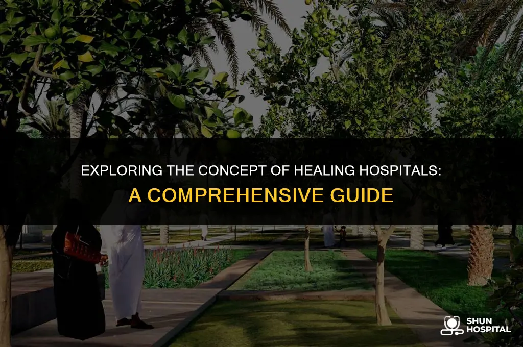 what is a healing hospital