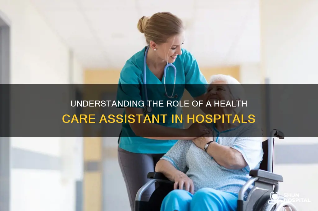 what is a health care assistant in a hospital