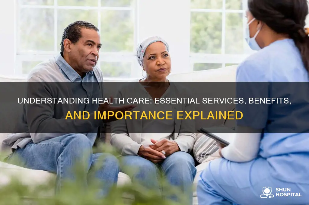 what is a health care
