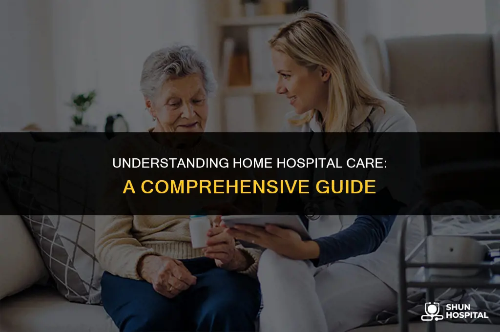 what is a home hospital