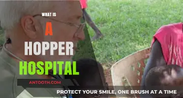 Understanding Hopper Hospitals: A Comprehensive Guide