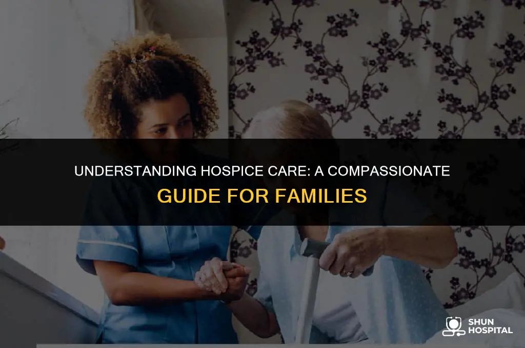 what is a hospita