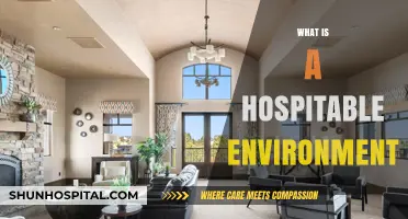 Creating a Hospitable Environment: A Guide to Welcoming Spaces