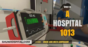 Understanding Hospitals: A Beginner's Guide to Healthcare Facilities