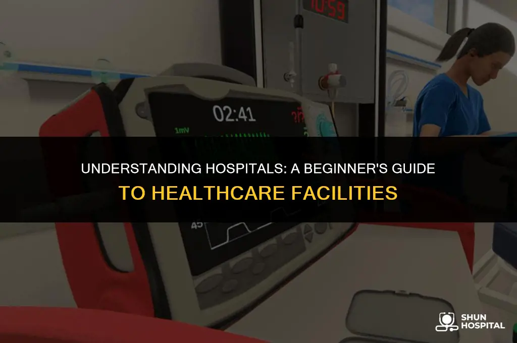 what is a hospital 1013