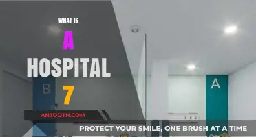 Exploring the Depths of Healthcare: What Makes a Hospital '7'?