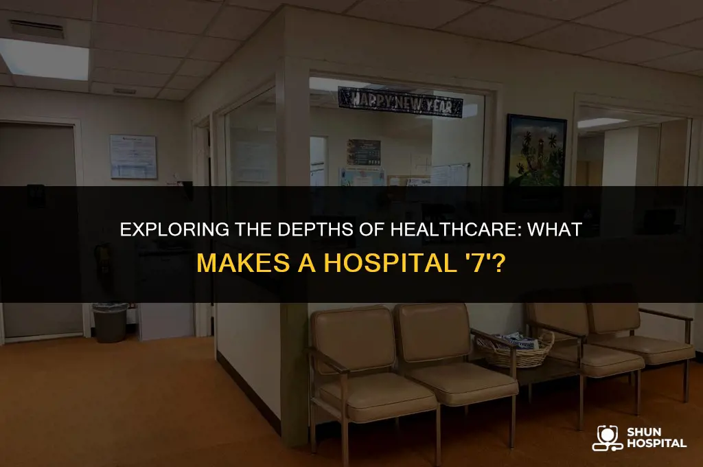 what is a hospital 7