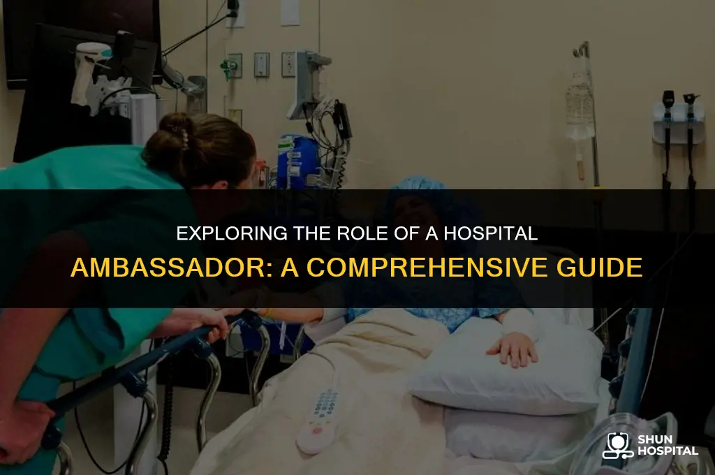 what is a hospital ambassador