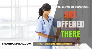 Understanding Hospitals: Essential Services and Patient Care Explained