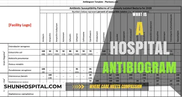 Decoding Hospital Antibiograms: A Guide to Effective Antibiotic Use