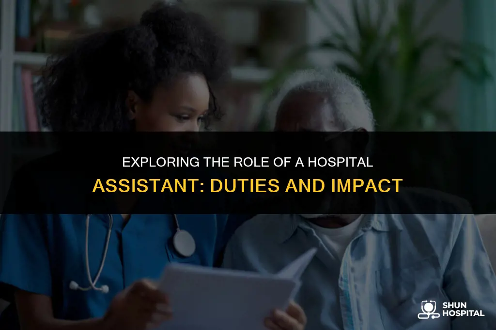 what is a hospital assistant