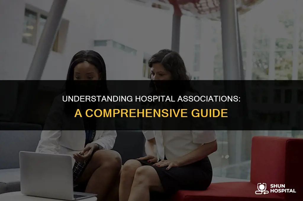 what is a hospital association