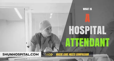 Exploring the Role and Responsibilities of a Hospital Attendant