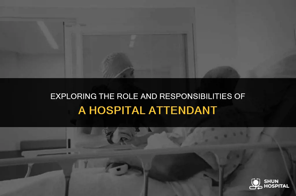 what is a hospital attendant