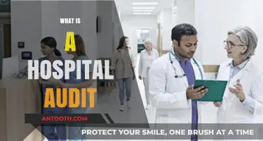 Exploring the Essentials: What Constitutes a Hospital Audit?