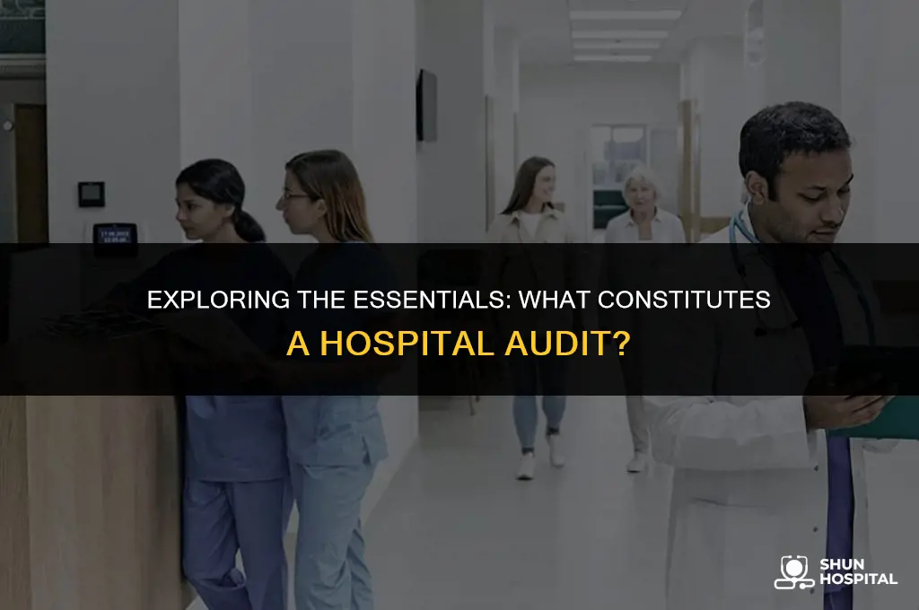 what is a hospital audit