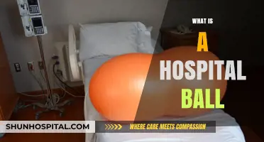 Understanding Hospital Balls: Uses, Benefits, and Where to Find Them