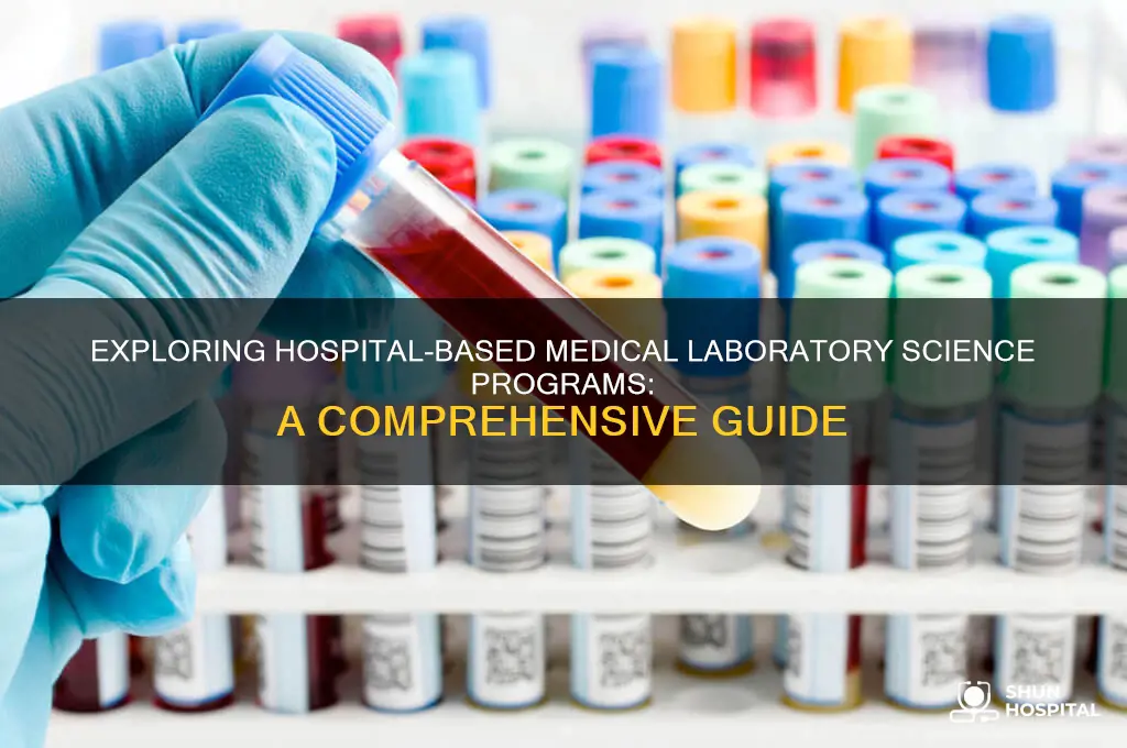 what is a hospital based medical laboratory science program