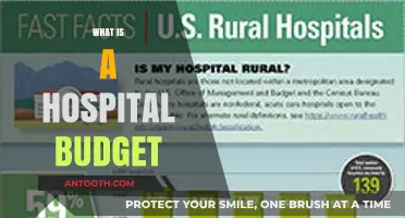 Understanding Hospital Budgets: A Comprehensive Guide to Financial Management