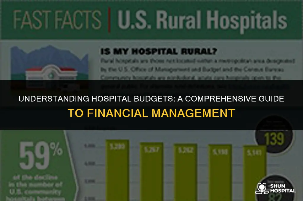 what is a hospital budget