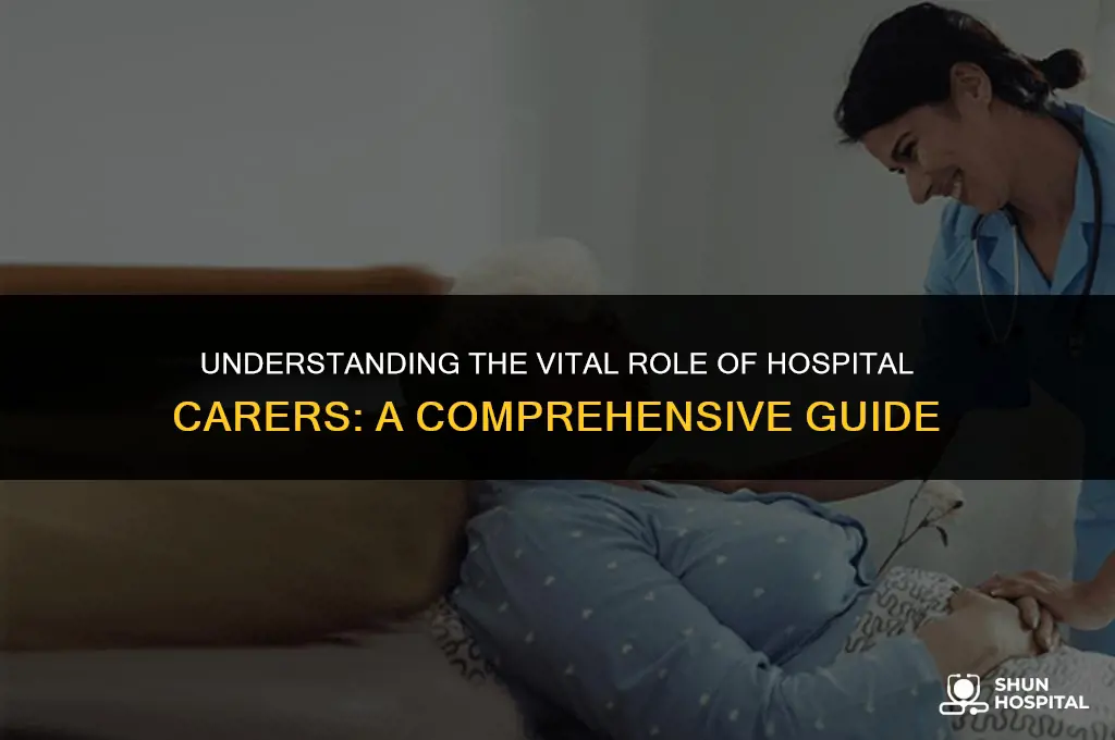 what is a hospital carer