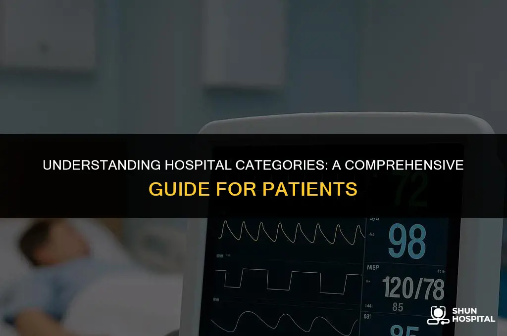 what is a hospital category