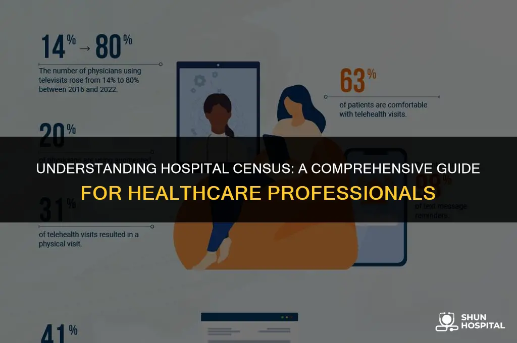 what is a hospital census