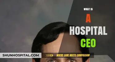 Exploring the Role and Responsibilities of a Hospital CEO