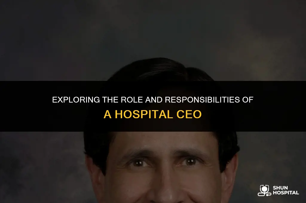 what is a hospital ceo