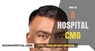 Exploring the Role and Responsibilities of a Hospital CMO