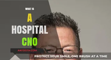 Understanding the Role of a Hospital CNO: A Comprehensive Guide