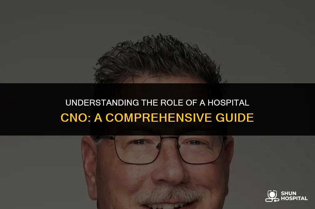 what is a hospital cno