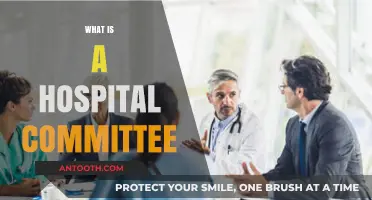 Understanding Hospital Committees: Their Role and Importance