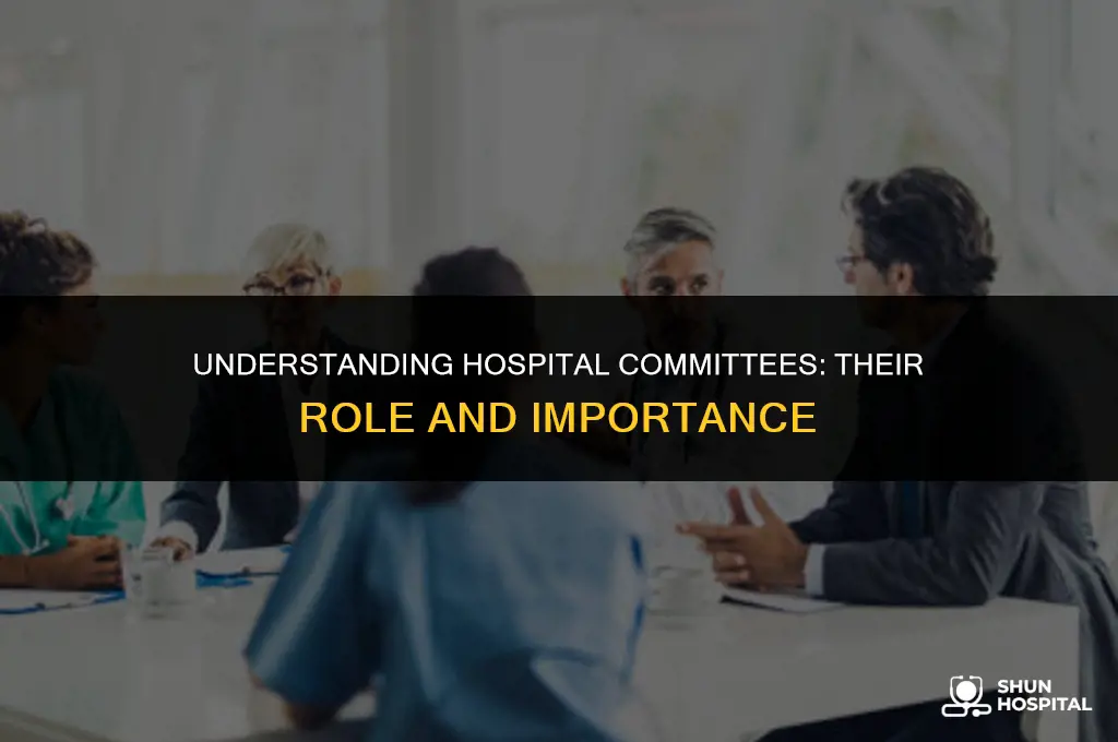 what is a hospital committee