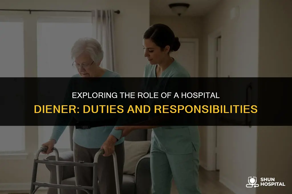 what is a hospital diener