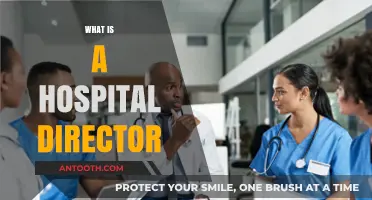 Exploring the Role and Responsibilities of a Hospital Director