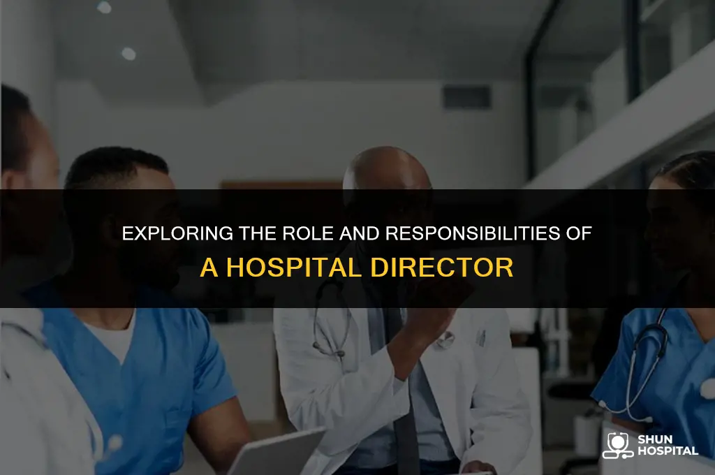 what is a hospital director