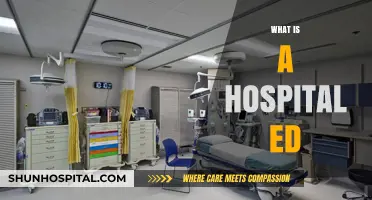 Understanding the Lifeline of Emergency Care: What is a Hospital ED?