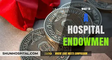 Understanding Hospital Endowments: A Comprehensive Guide