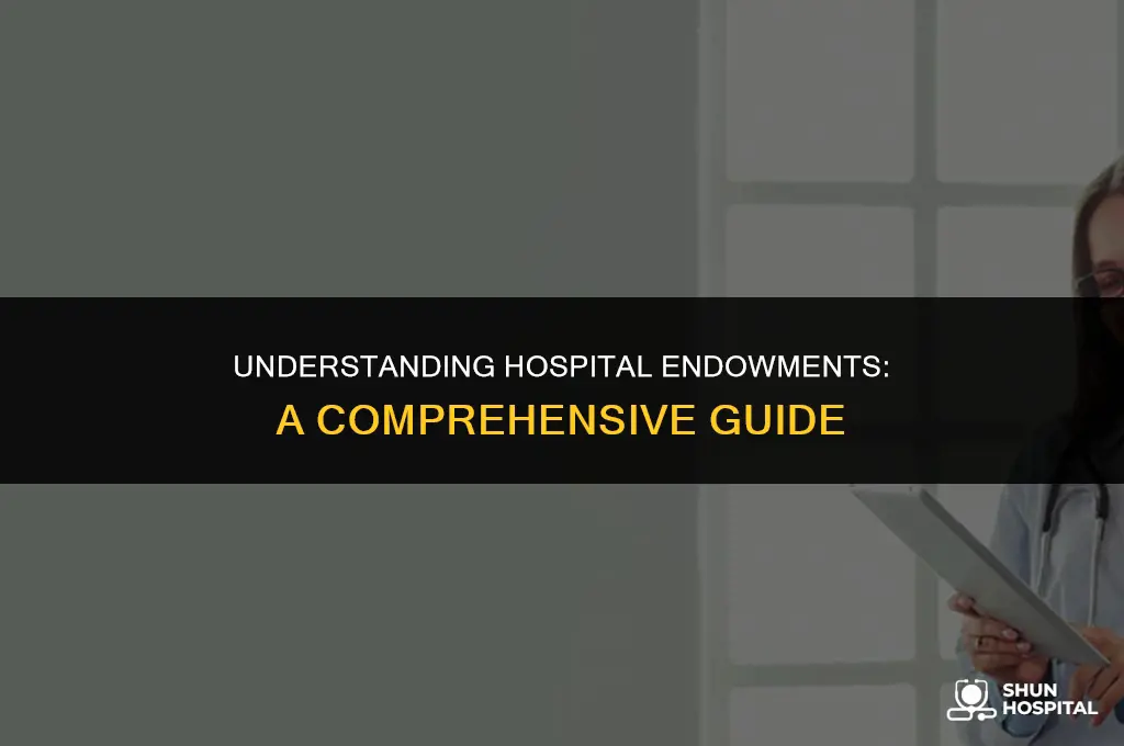what is a hospital endowment