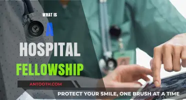 Understanding Hospital Fellowships: A Comprehensive Guide for Aspiring Medical Professionals